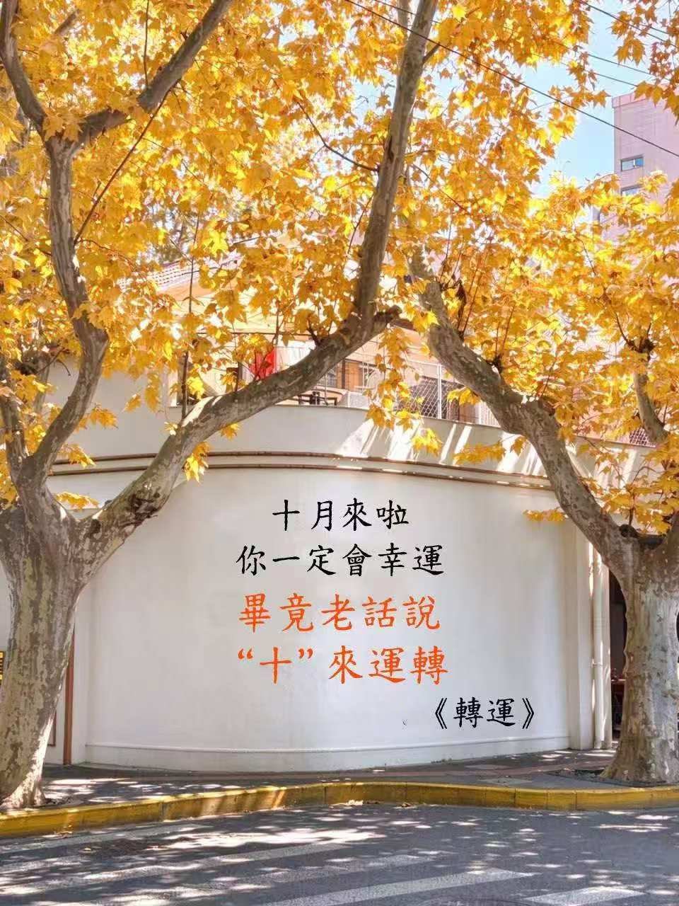 評論圖片